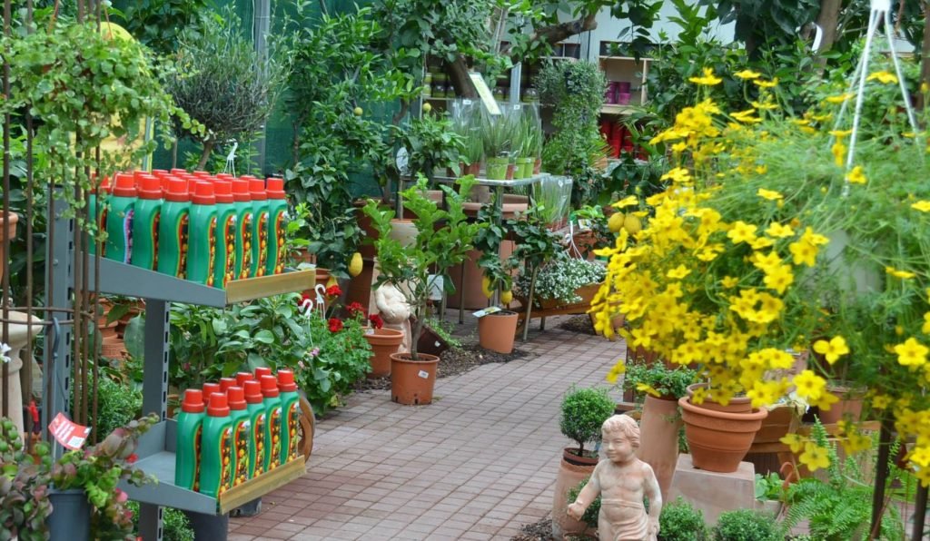Reguli la fertilizarea plantelor floricole