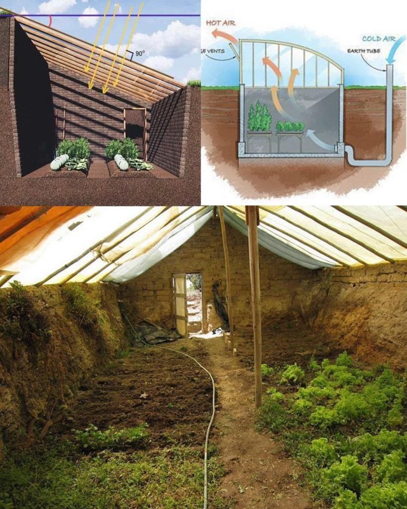 Cum să Construiești o Sera Subterană: O Soluție pentru Cultivare pe Tot Parcursul Anului