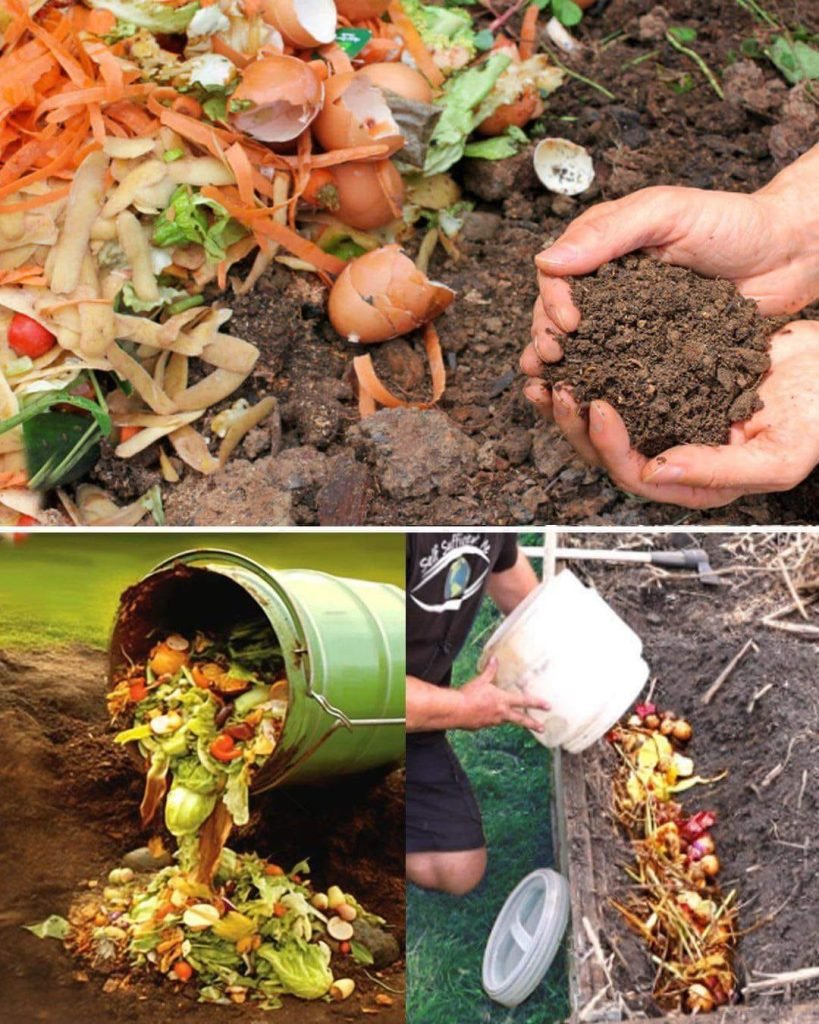 Transformă deșeurile organice în aur pentru grădină: Ghidul de compostare directă în sol