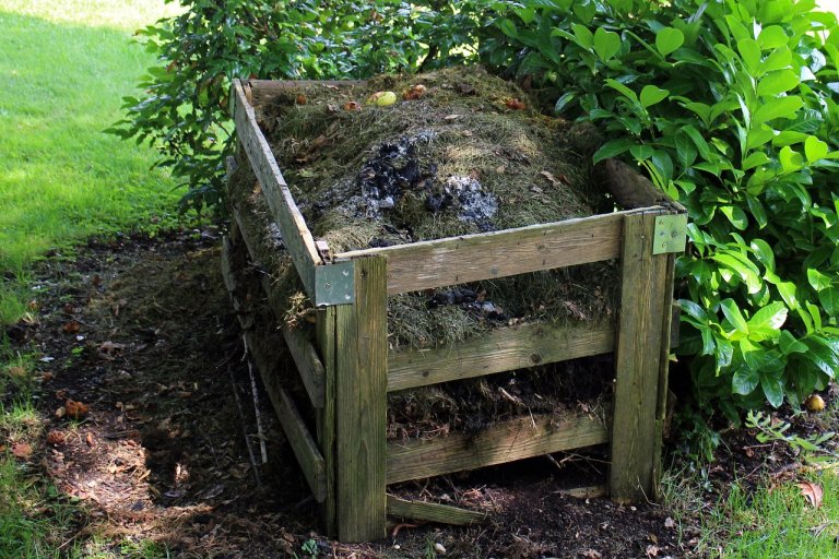 Cum Să Prepari Compost din Frunze, Resturi Vegetale și Crengi: Ghid Pas cu Pas
