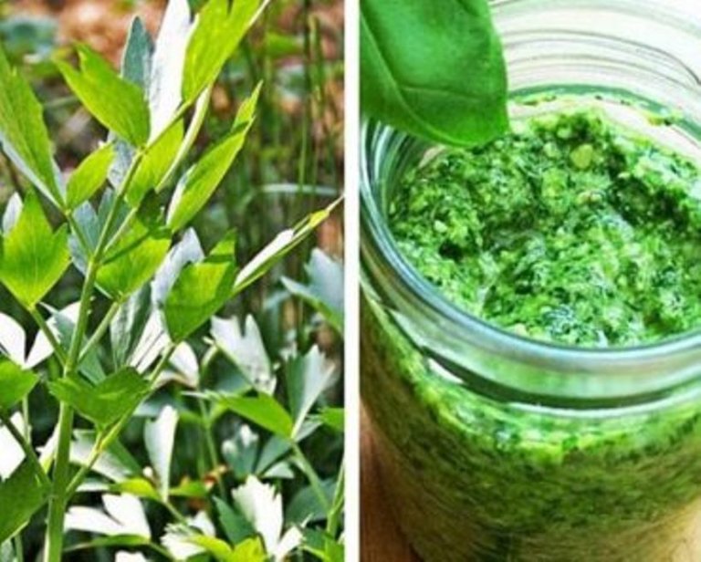 Pasta de leuștean cu lămâie: Deliciul verde care Îmbină sănătatea cu aroma
