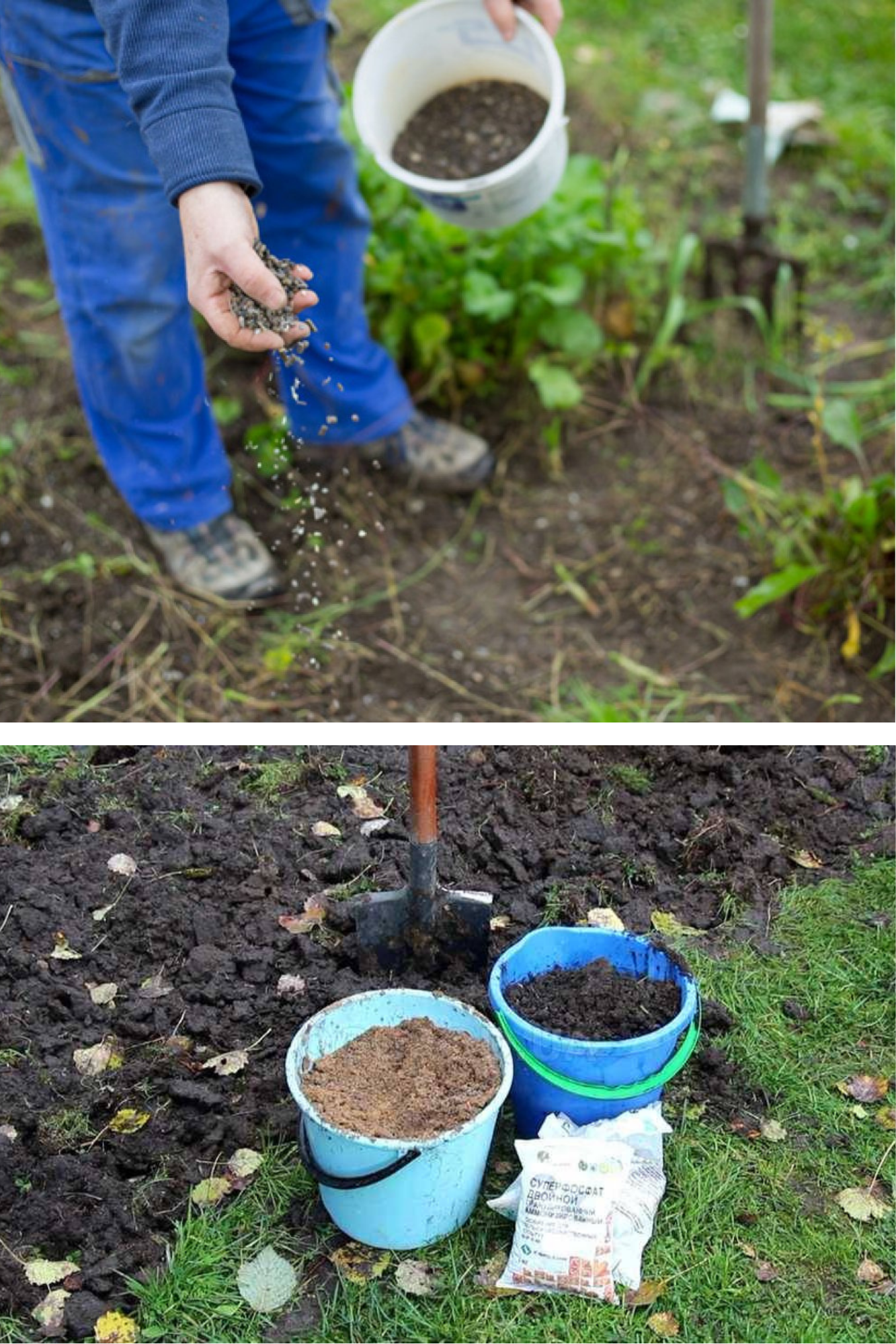 îngrășăminte naturale pe care să le pui acum în grădină