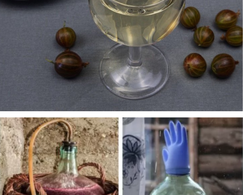 Vin de agrișe făcut acasă