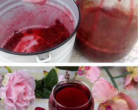 vin din zmeură