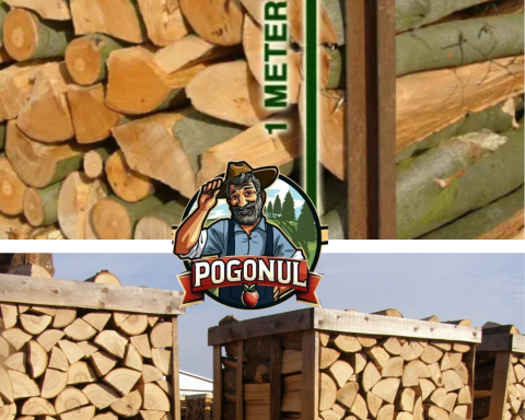 Care este diferenta dintre metrul ster si metrul cub