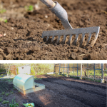 Pregătirea ecologică de toamnă a solului