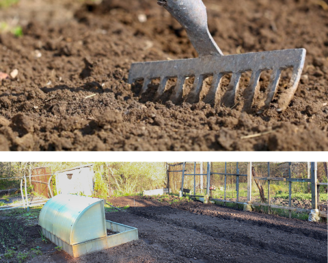 Pregătirea ecologică de toamnă a solului