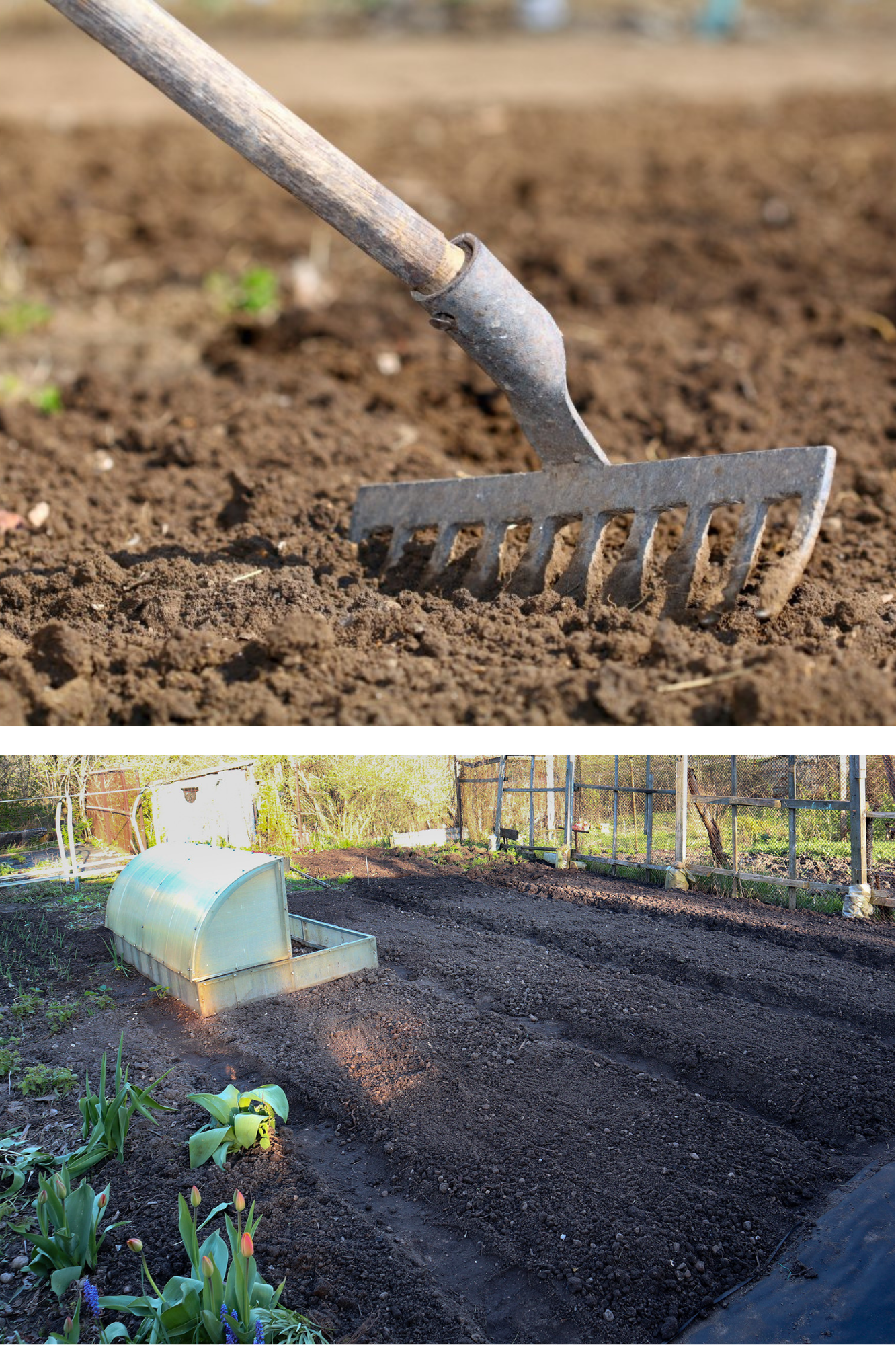 Pregătirea ecologică de toamnă a solului