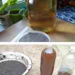 Detergent lichid natural din frunze de nuc și cenușă – rețetă tradițională
