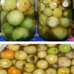 Gogonele murate