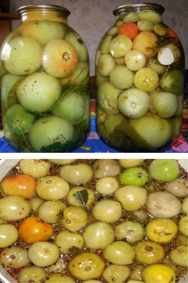 Gogonele murate