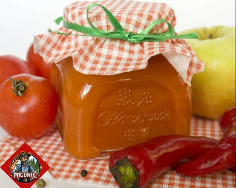 Ketchup-ul din mere și roșii