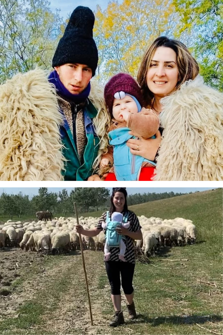 De la avocatură la stână