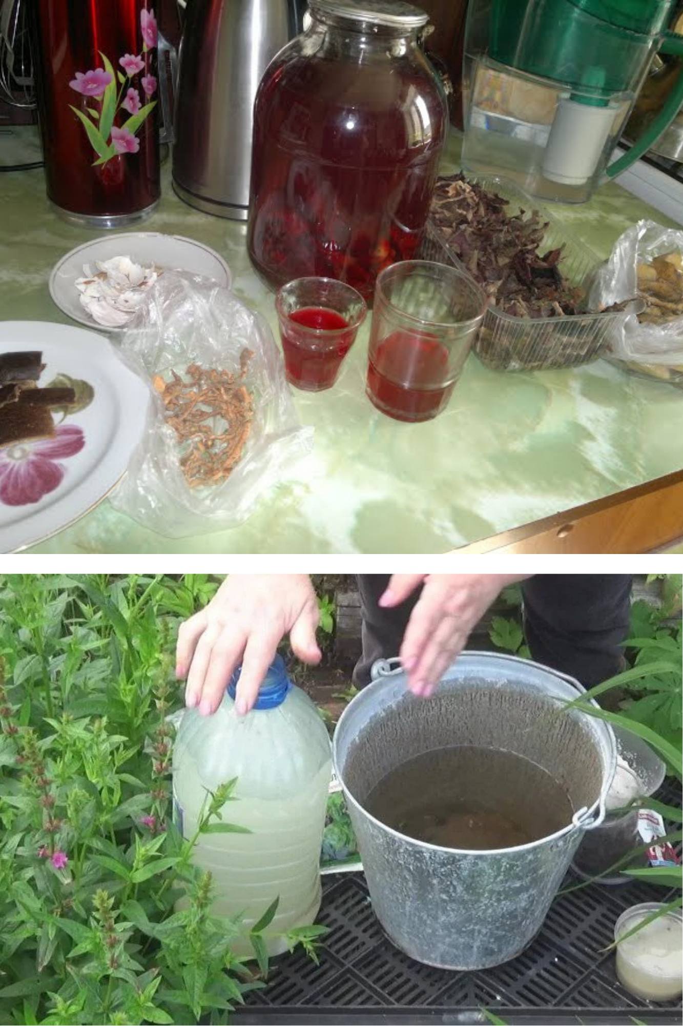 Insecticide ecologice eficiente – rețete simple din gospodărie care țin dăunătorii la distanță fără să afecteze solul și plantele