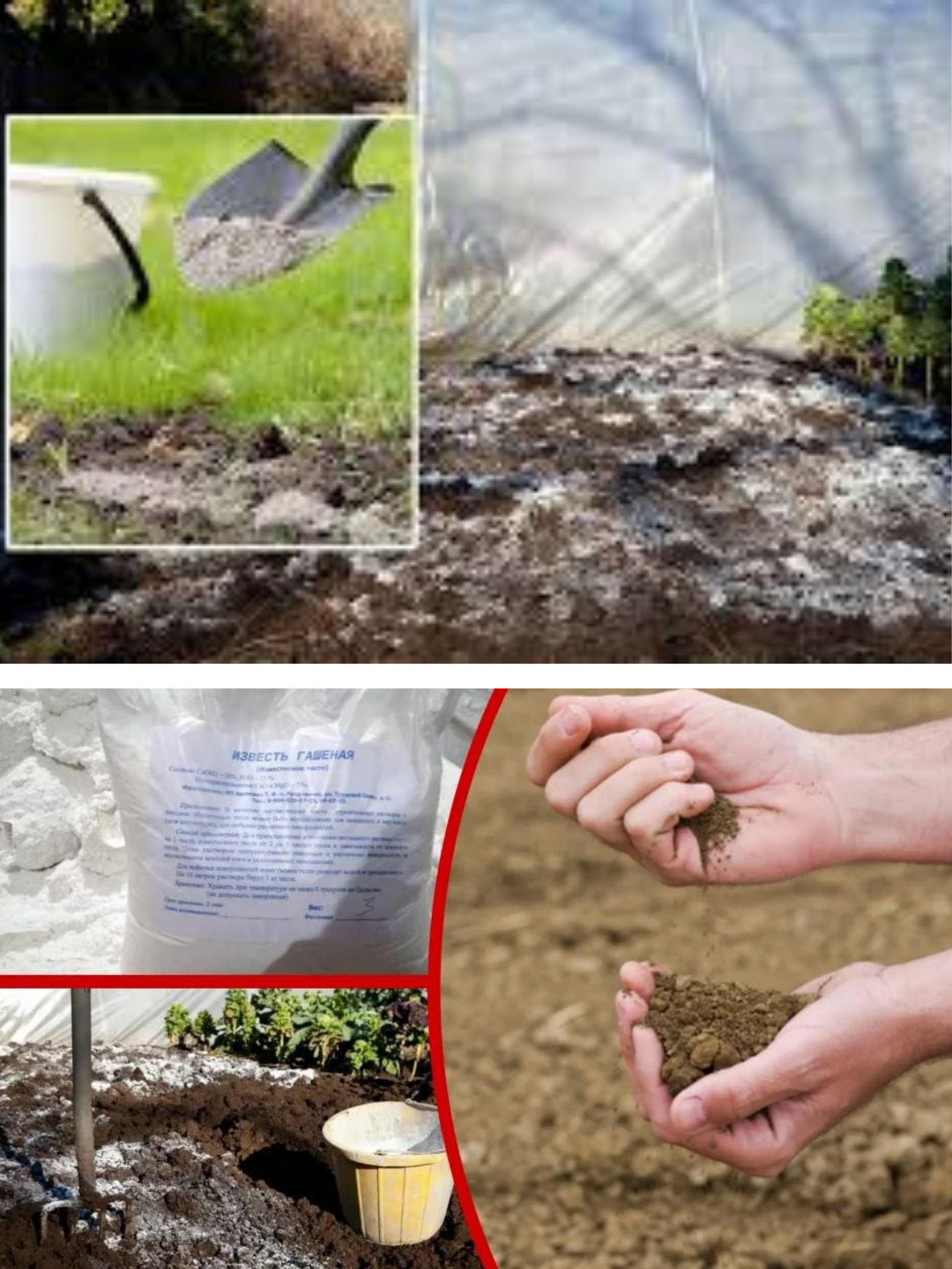 Cum să dezinfectezi solul toamna și când să dai cu var