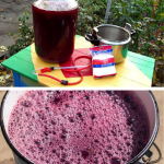 Ce pui în must ca să nu fermenteze repede