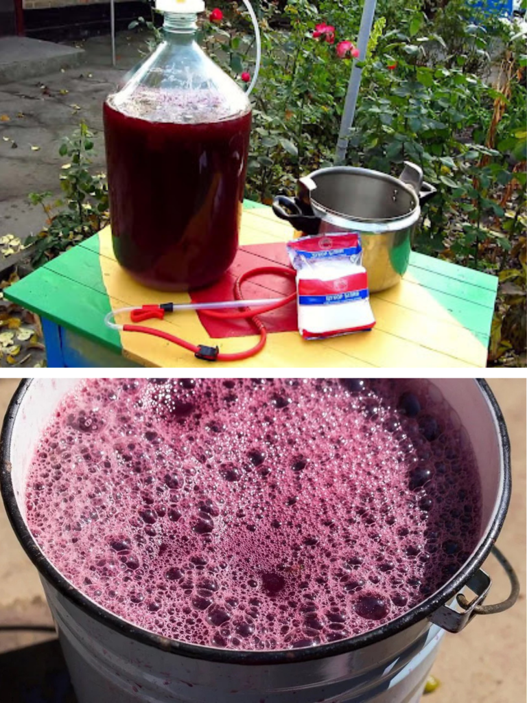 Ce pui în must ca să nu fermenteze repede