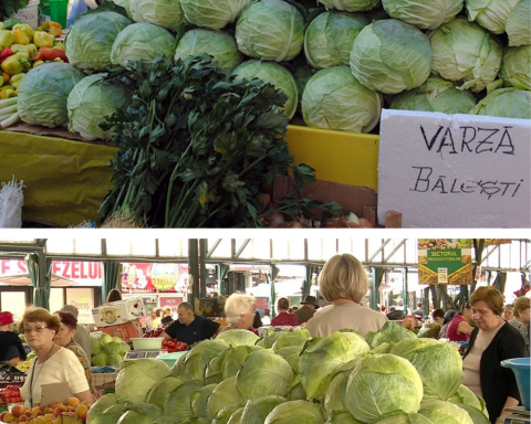 Cum să alegi varza pentru murat