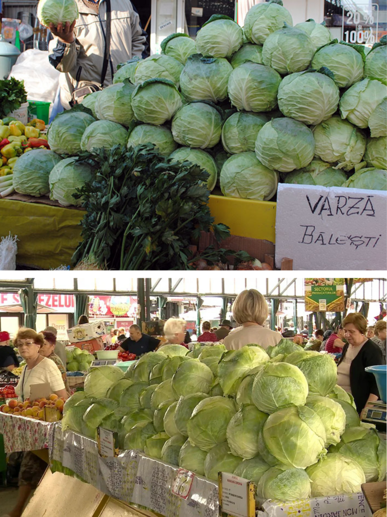 Cum să alegi varza pentru murat