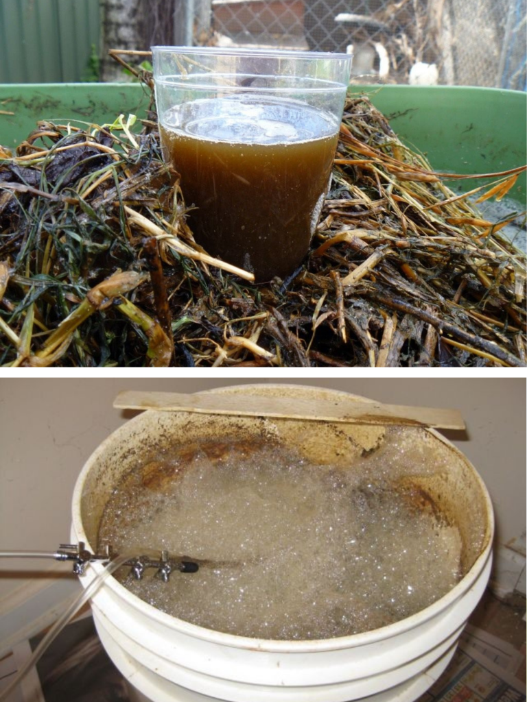 ceai de compost