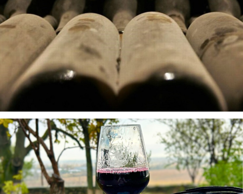 Ghid complet pentru vin de casă sănătos și nobil
