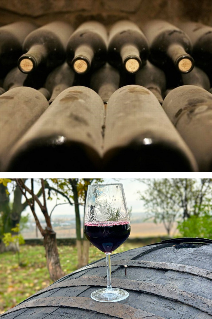 Cum fermentează vinul, ce rol au drojdiile naturale și cele selecționate, când trebuie pritocit, stabilizat și îmbuteliat pentru învechire. Ghid complet pentru vin de casă sănătos și nobil