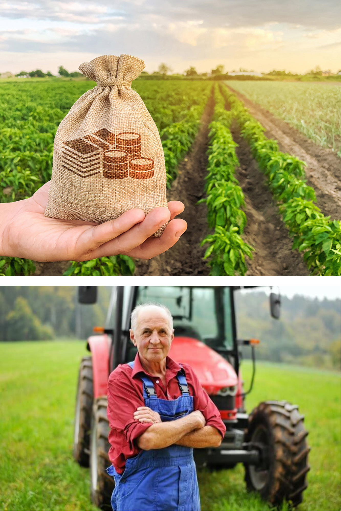 Transformă un hectar de pământ într-o afacere