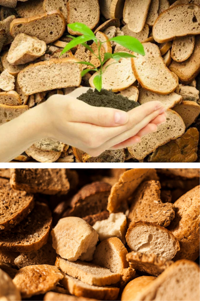 Fertilizarea cu pâine. Chiar ajută sau e doar o poveste a grădinarilor