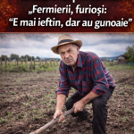 Leguma de bază a românilor, la mâna importurilor. Fermierii, furioşi: "E mai ieftin, dar au gunoaie"