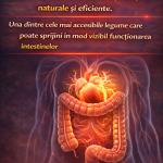 Leguma care ajută colonul leneș