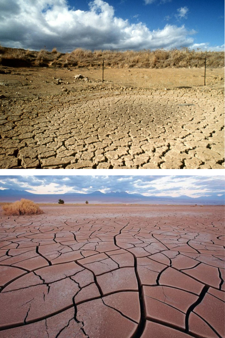 Deșertul Atacama