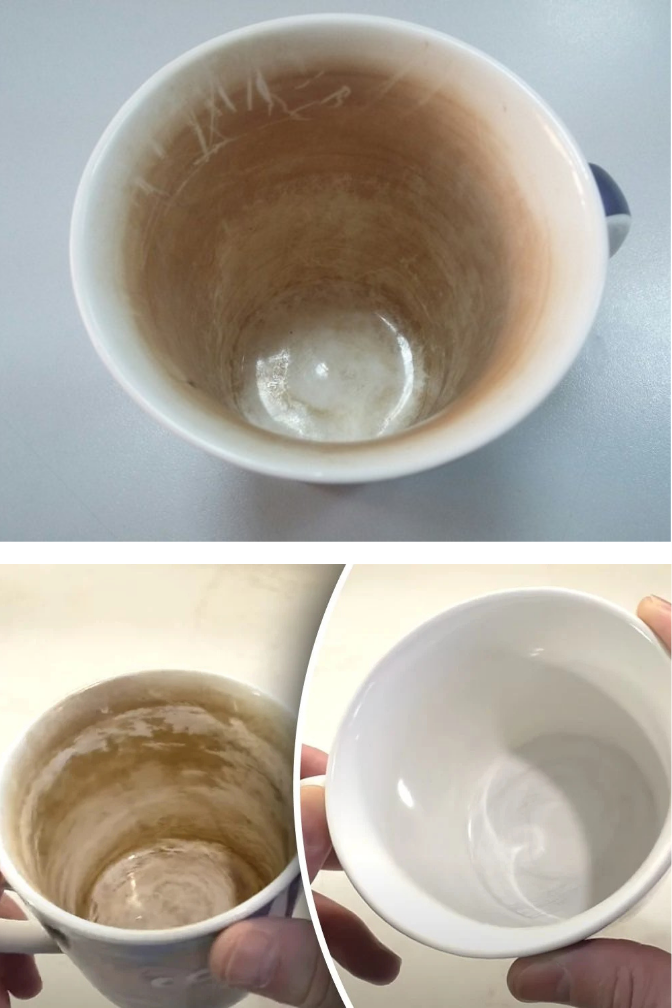 cureți ușor ceștile de petele de cafea și ceai