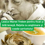 Leacul Mariei Treben pentru ficat și bilă leneșă