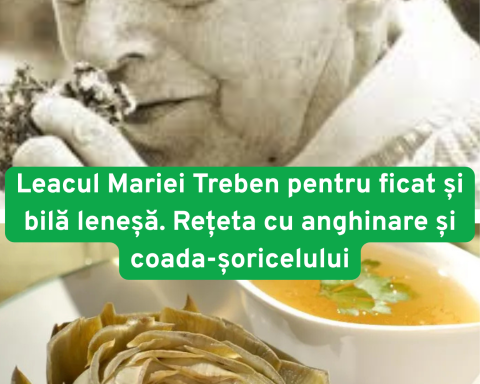 Leacul Mariei Treben pentru ficat și bilă leneșă