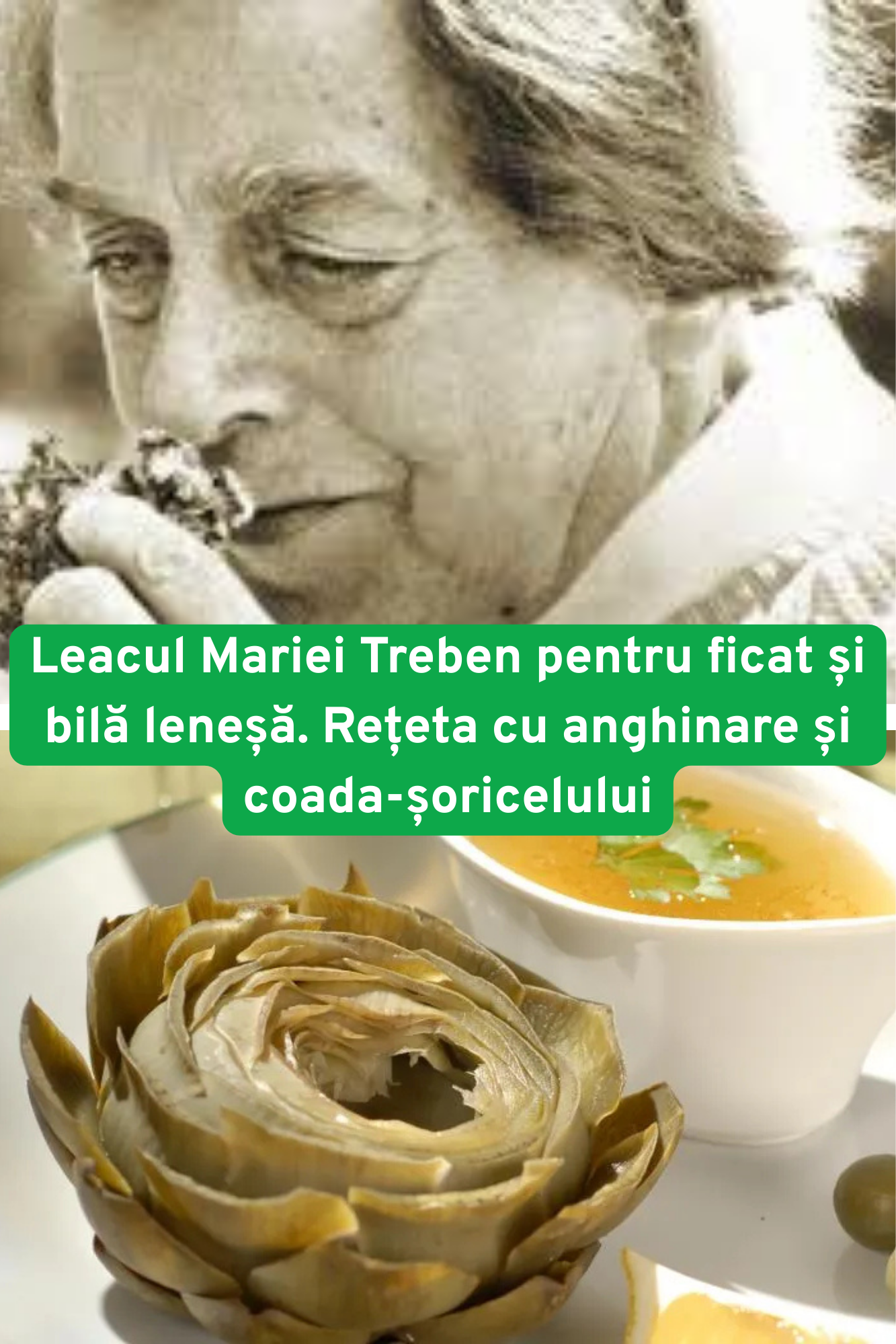 Leacul Mariei Treben pentru ficat și bilă leneșă