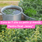 Leacul cu pelin și mentă pentru ficat
