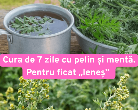 Leacul cu pelin și mentă pentru ficat