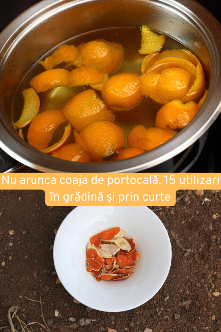 Nu arunca cojile de portocală
