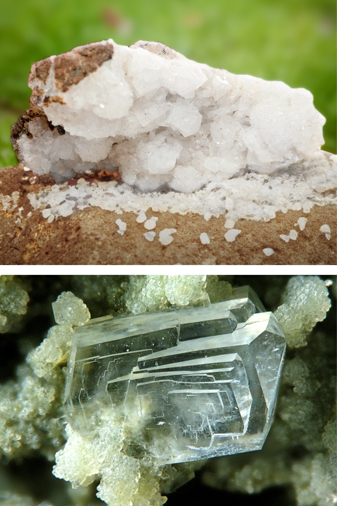 mineralul „magic” care absoarbe toxinele din organismun