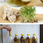 Îngrășăminte naturale pentru legume