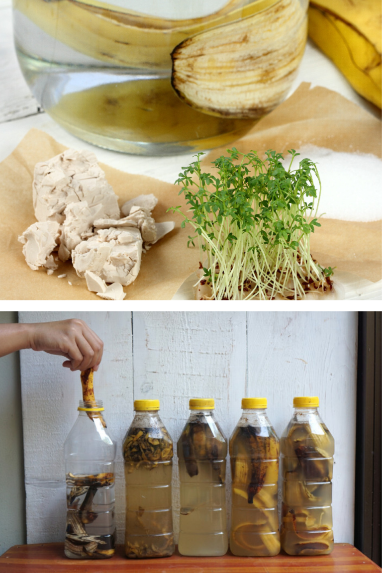Îngrășăminte naturale pentru legume