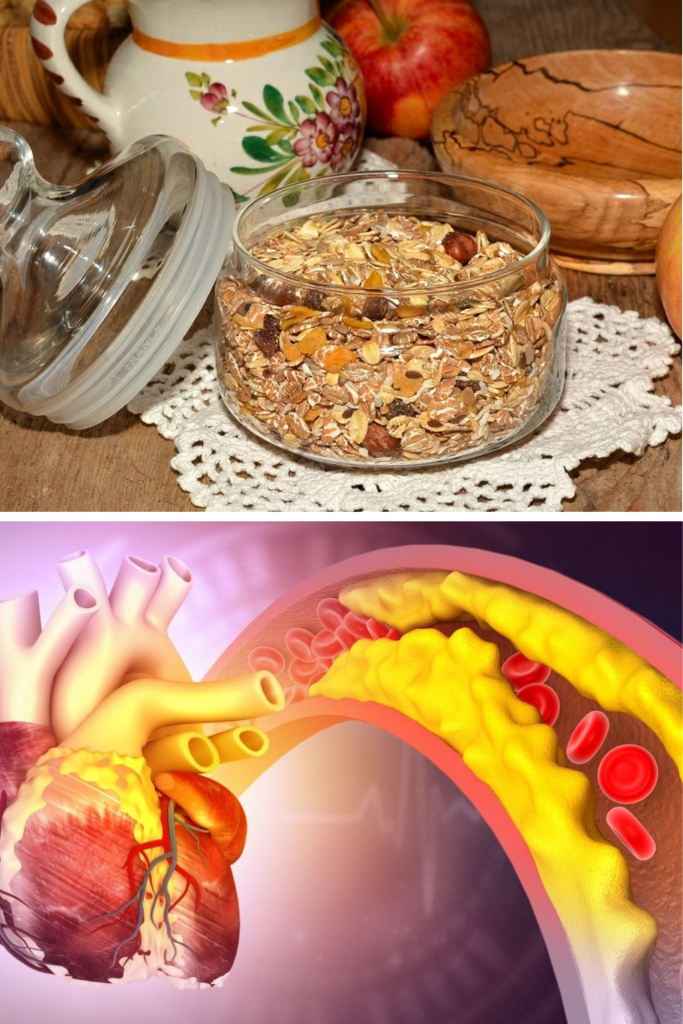 De ce ovăzul este un aliat cheie în controlul nivelului de colesterol, digestie și sațietate