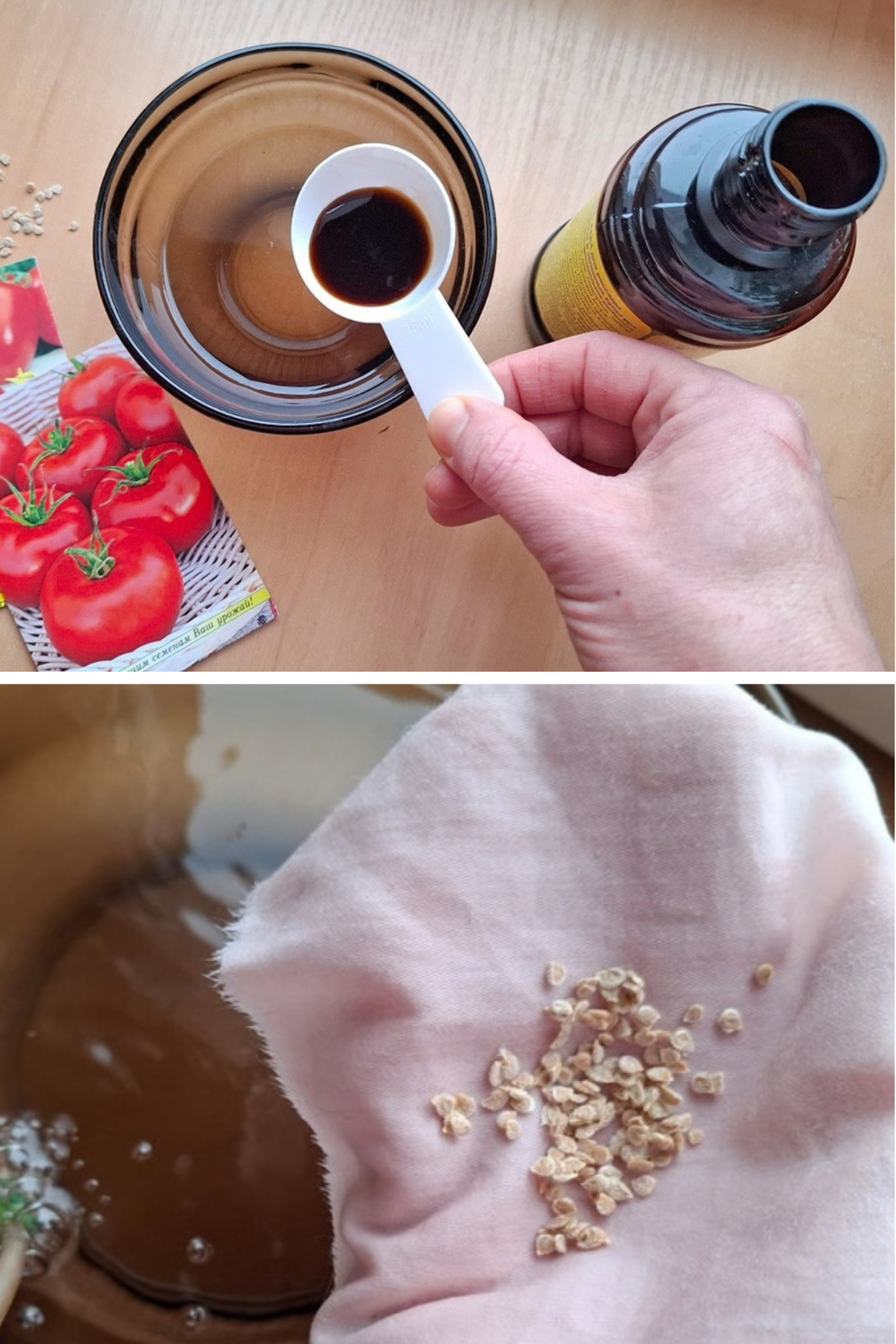 Cum crești germinația semințelor
