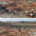 Tone de ceapă și alte legume, aruncate la groapa o de gunoi din Republica Moldova