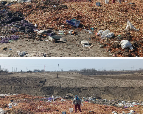 Tone de ceapă și alte legume, aruncate la groapa o de gunoi din Republica Moldova