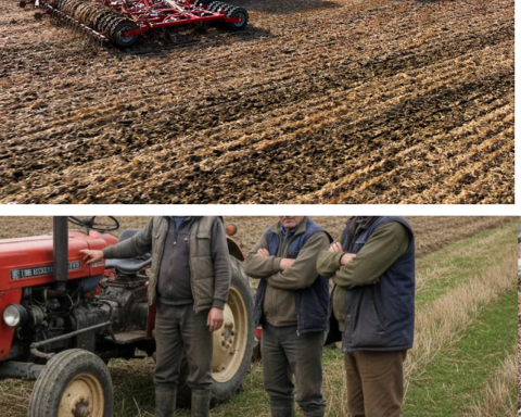 Revine criza din 2022 în agricultură