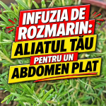 Infuzia de rozmarin și promisiunea abdomenului plat