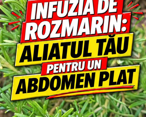 Infuzia de rozmarin și promisiunea abdomenului plat