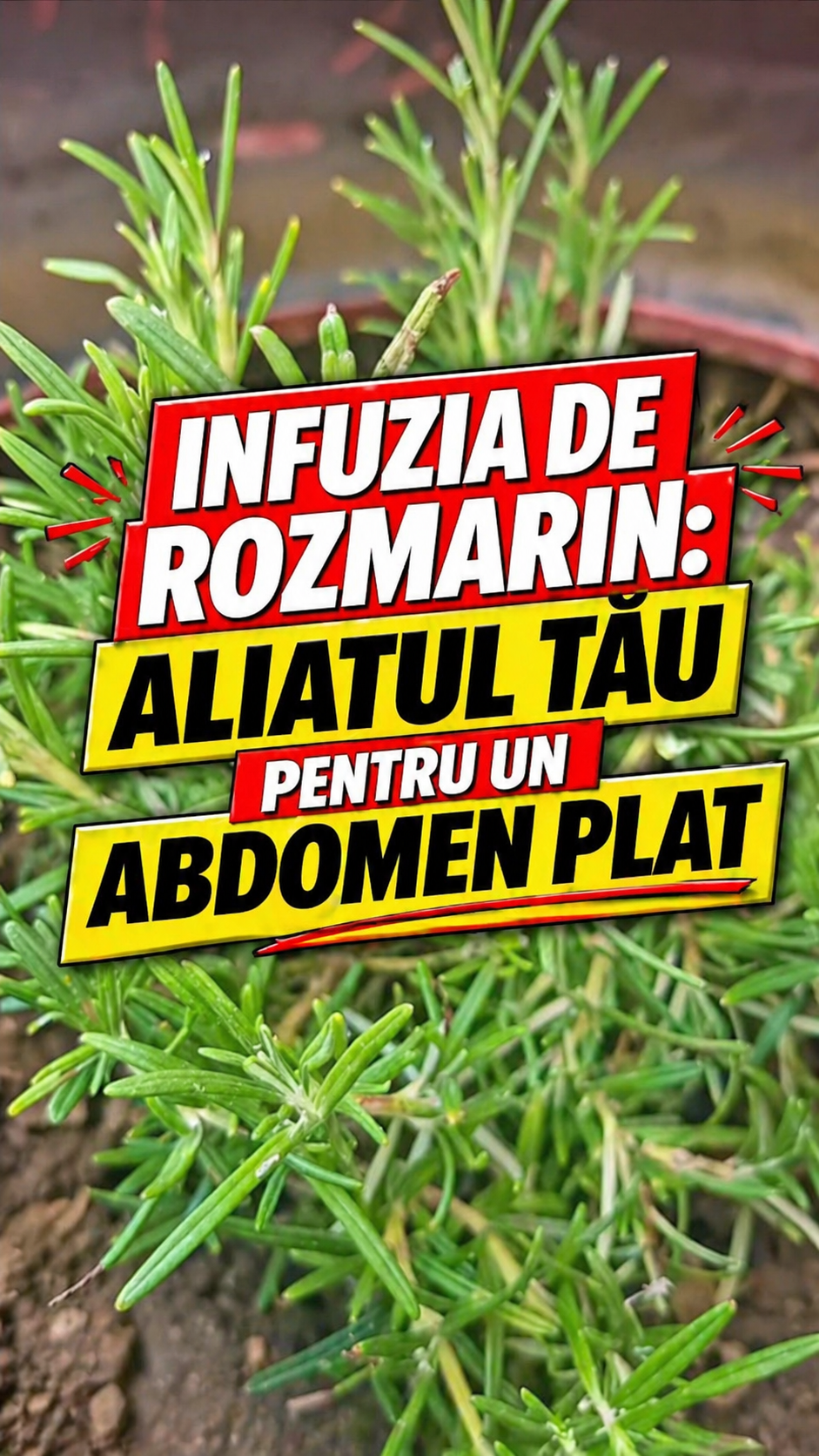 Infuzia de rozmarin și promisiunea abdomenului plat