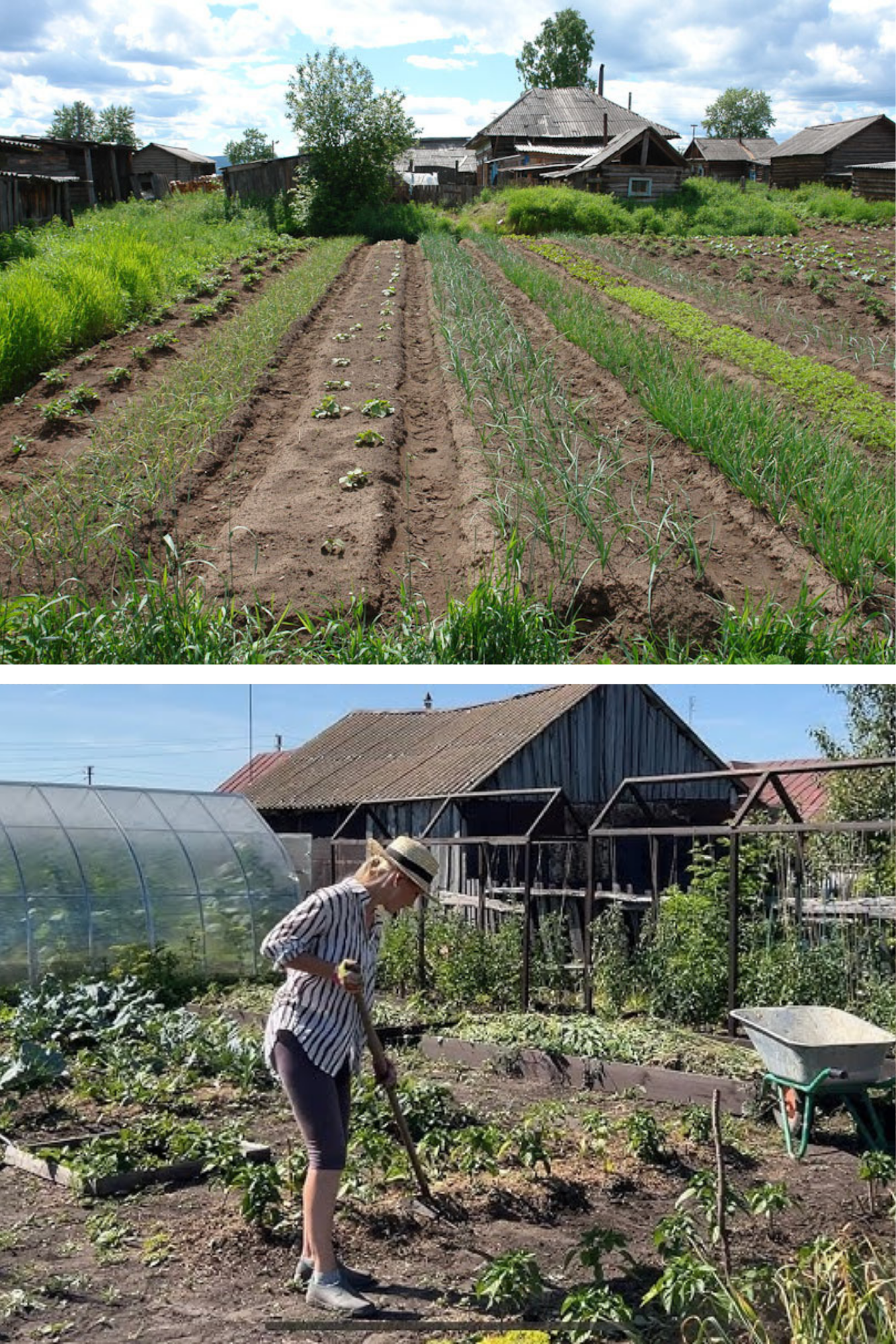 Cât teren îți trebuie în 2026 ca să trăiești decent din agricultura